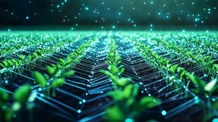 科技赋能下的绿色植物景观