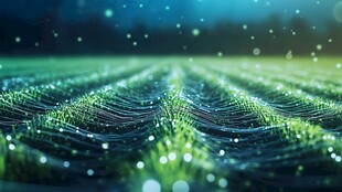 梦幻绿野中的微光闪烁