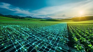 科技赋能下的智慧农田景观