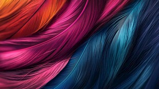 绚丽多彩羽毛纹理背景图