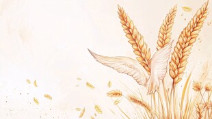 麦间飞鸟绘就田园诗意