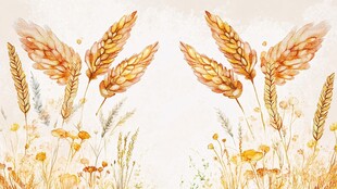 秋日麦穗花卉水彩插画