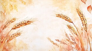 秋景麦穗水彩风背景图