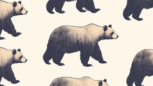 熊的重复图案插画