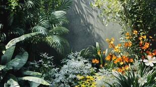 花园绿植花卉景观一角