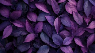 紫色叶片背景纹理图