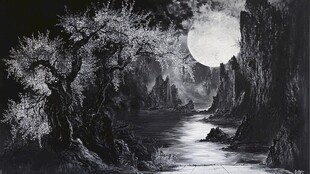 月夜下的河畔枯树景观