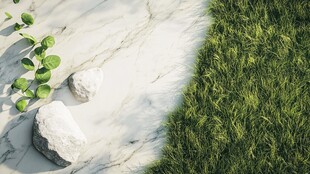 大理石边的绿植与石块