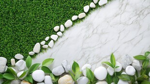 绿草白石绿叶的自然景致