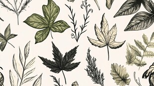 手绘植物叶片图案设计