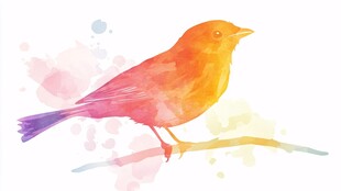 水彩绘小鸟栖息枝头