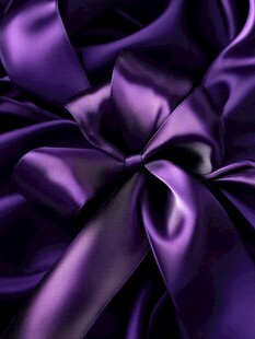 紫色绸缎蝴蝶结特写