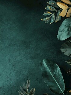 墨绿背景下的斑斓叶片