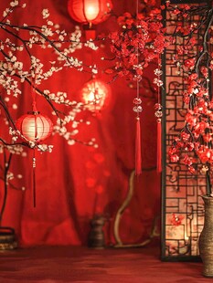 中式红韵 灯笼繁花映雅景