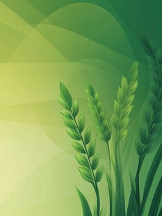 清新绿麦草背景图