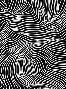 黑白线条动感抽象图案