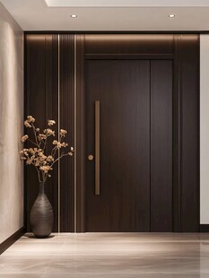 现代简约风格入户门设计