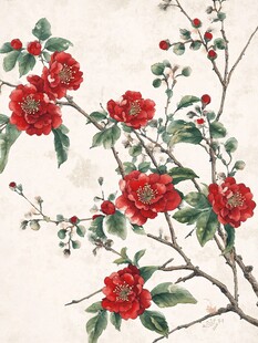 中式水墨风盛开红山茶