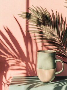 粉色背景下的绿植与咖啡杯