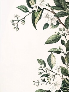 手绘白色花卉枝叶图案