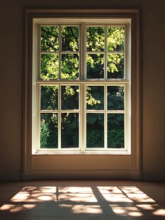 透过窗户看绿意盎然