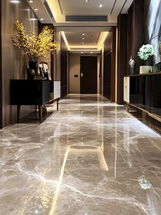 现代奢华风的精致走廊空间