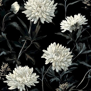 黑白菊花植物花卉图案