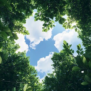 仰望绿荫间的蓝天白云