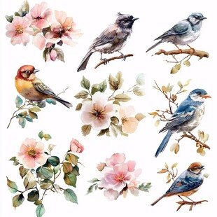 花鸟水彩插画素材集合