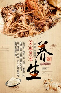 三七
