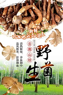 野生菌