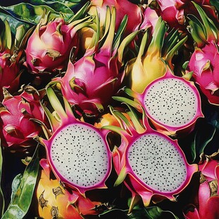 鲜艳火龙果特写