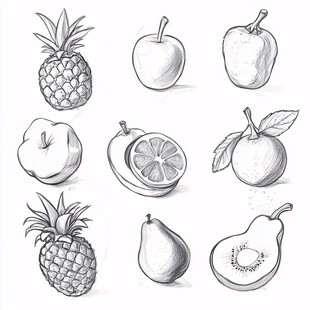 手绘水果素描集合