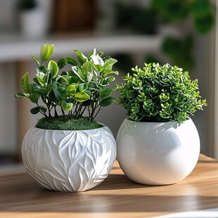两盆精致白色盆栽绿植