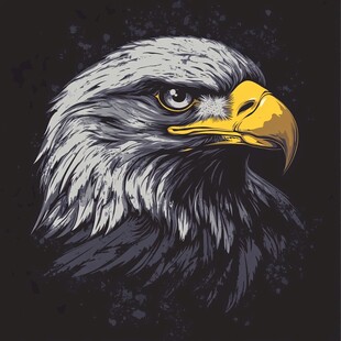 威严白头鹰头像插画