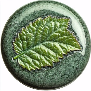 绿瓷盘上的精致叶脉图案