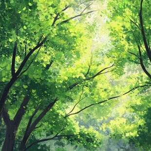 阳光洒落的葱郁林间