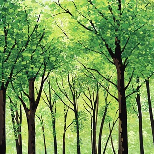 夏日翠绿森林清新景象