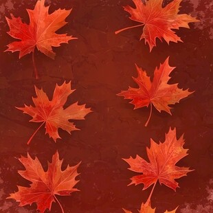 秋日枫叶背景图