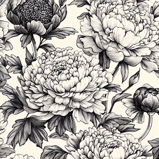 黑白手绘牡丹花卉图案