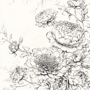 黑白手绘牡丹花卉图