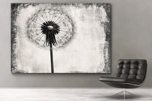 黑白蒲公英装饰画