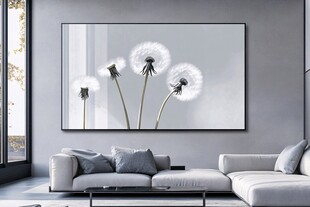 简约风客厅的蒲公英挂画