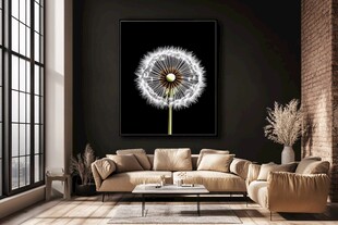 室内蒲公英挂画装饰场景
