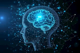 科技感人脑轮廓与网络元素