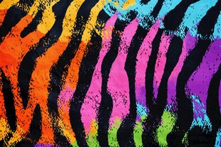 多彩斑马纹图案艺术背景