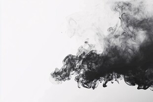 墨韵飞扬 黑白水墨艺术图