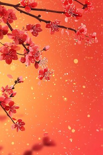 红梅绽放于暖橙色背景中
