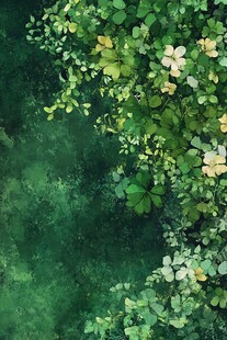 翠绿三叶草的自然景致