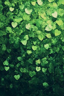 心形绿叶背景图